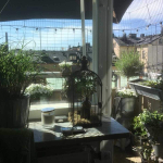 BALKONGEN_2018_21