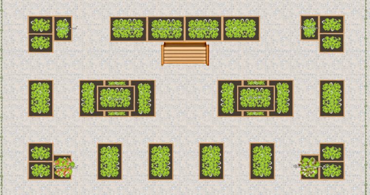 Planering av plantering i pallkragar