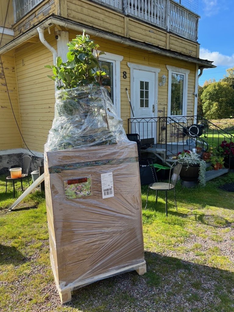 Mika ville ha äppelträd och visst hör det till en trädgård på något vis?