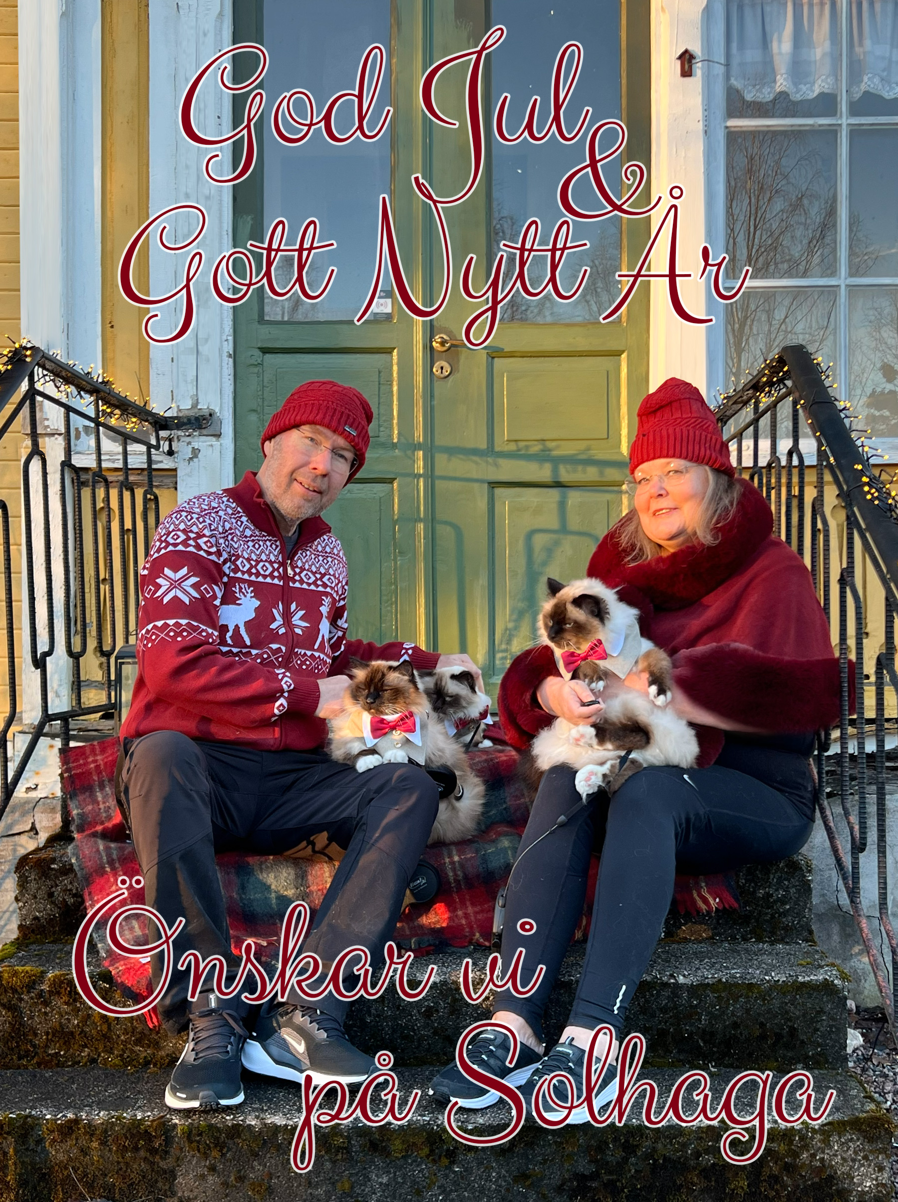 🎄❄️ God Jul ❄️ 🎄